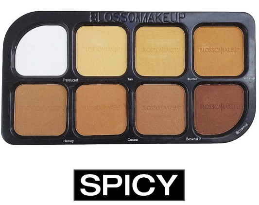 Blossom Makeup Zero Flaws 8in1 Powder Palette