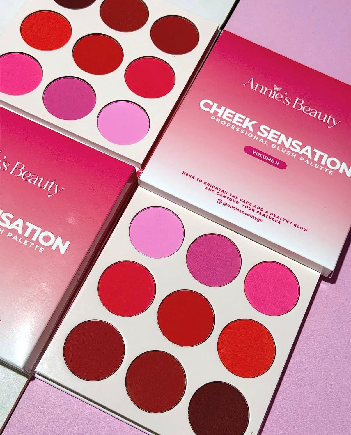 Annie’s Beauty Cheek Sensation Professional Blush Palette - Volume II