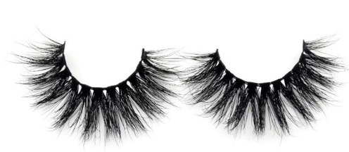 Queen Hatshepsut Eyelashes