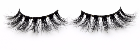 Queen Nefertiti Eyelashes